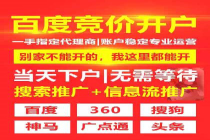 旅游行业SEM推广成功案例